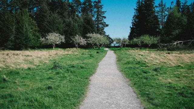 Quantum Birch