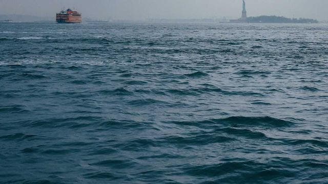 Signal Harbor